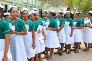 Nigerian Army College of Nursing Form Portal Price and Closing Date